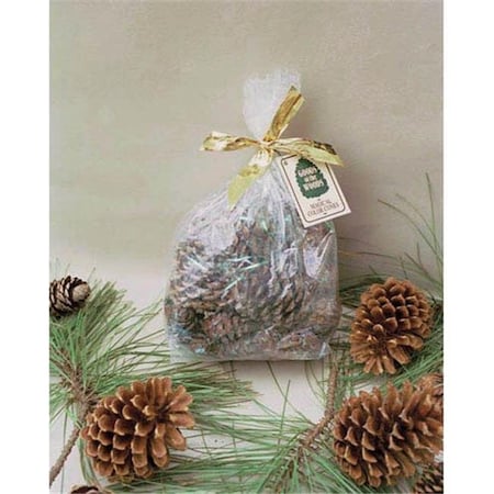 Goods Of The Woods Goods Of The Woods 10106 Color Cones in Cello Bag ...